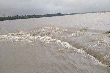 Скачать видео: sawaimadhopur news बीसलपुर बांध के गेट खोलने से बनास में पानी का बहाव, वाहनों की आवाजाही पूरी तरह बंद