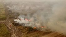 Animals flee huge wildfire in Bolivia as national emergency declared