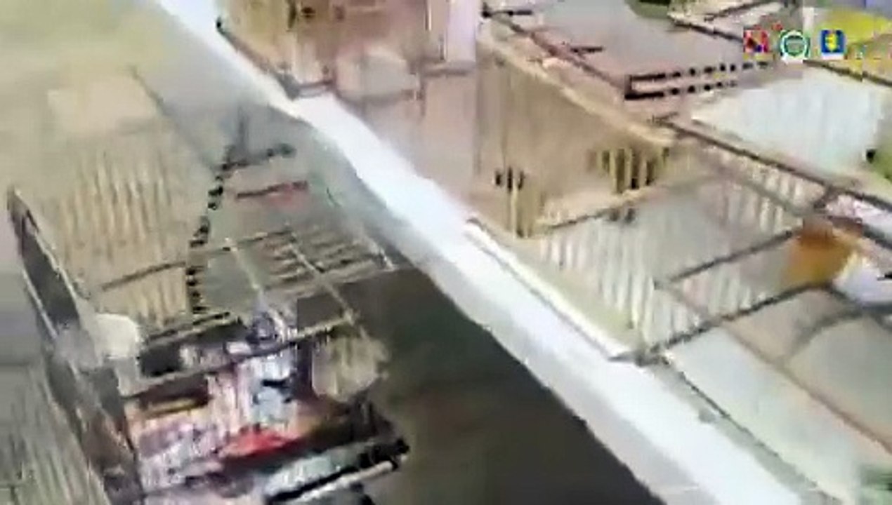 Imputado por vender aves silvestres en Copacabana