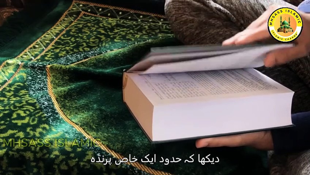 Hazrat Sulaiman (A.S) Ki Zindagi - Hikmat Aur Insaaf Ka Namona || MHSASS ISLAMIC