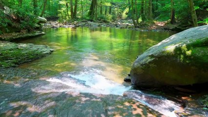 ASMR - The soothing sound of flowing river water