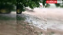 Malatya'da etkili olan dolu yağışı