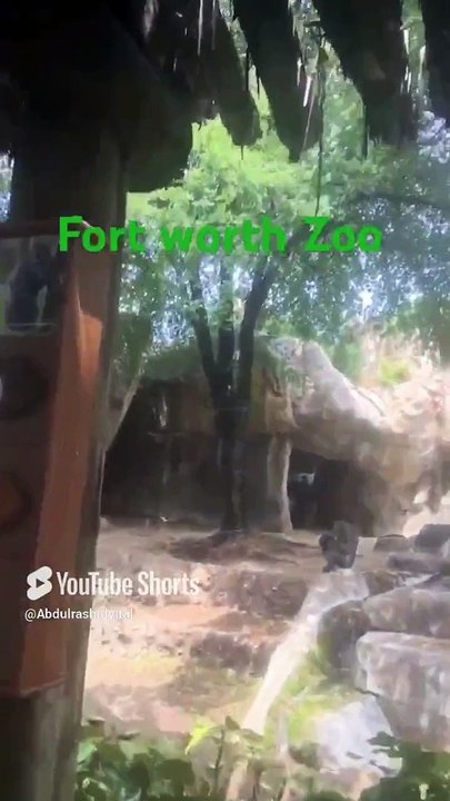 Fort Worth Zoo Taxas USA  #viralquotes #viralshorts