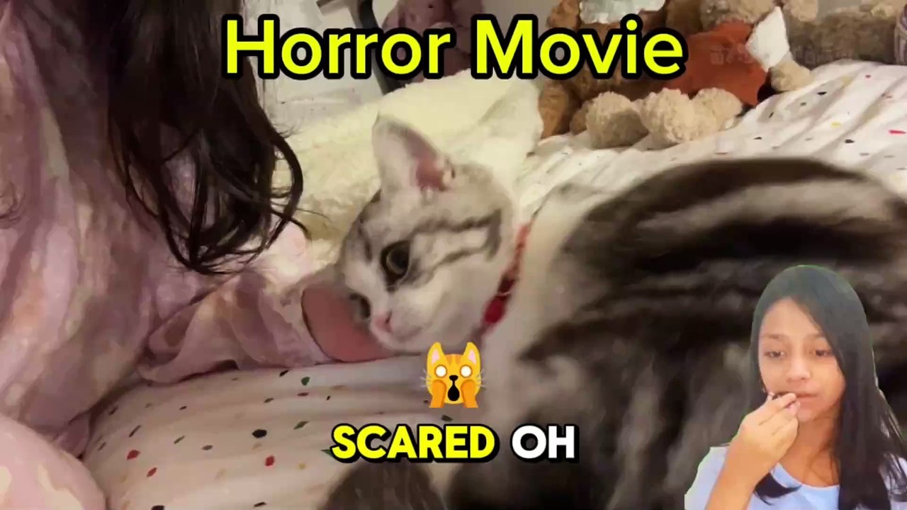 Horror Movie..