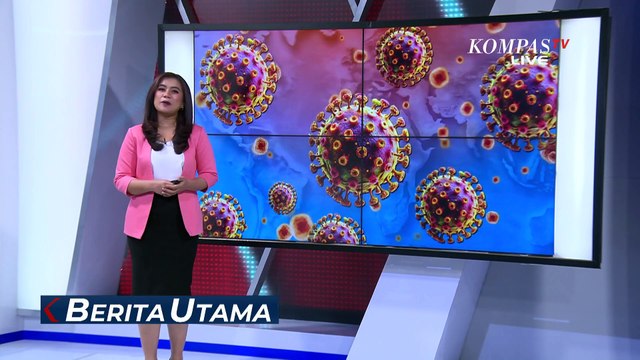 Cacar Monyet Berpotensi Jadi Ancaman Global, Menkes Budi Gunadi Kaji Kemungkinan Imunisasi Tambahan