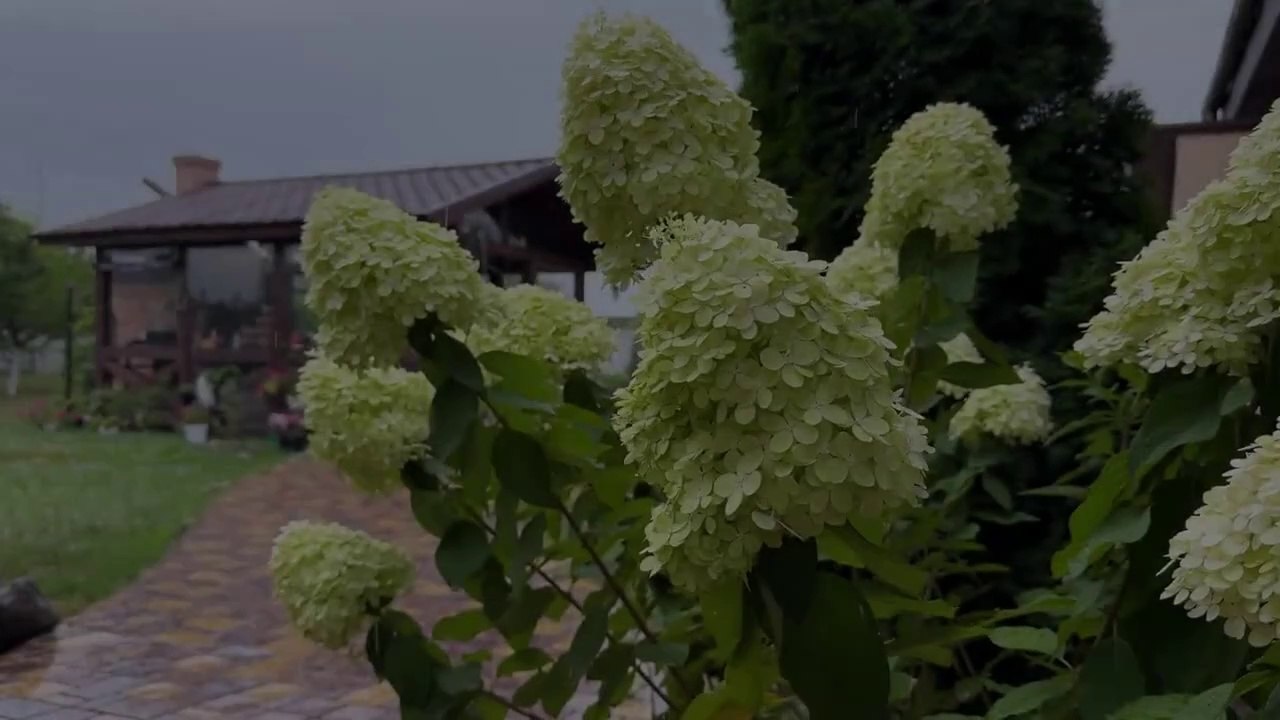 Super big beef burger, beauties eat beef too boldly, the grilling is too fragrant