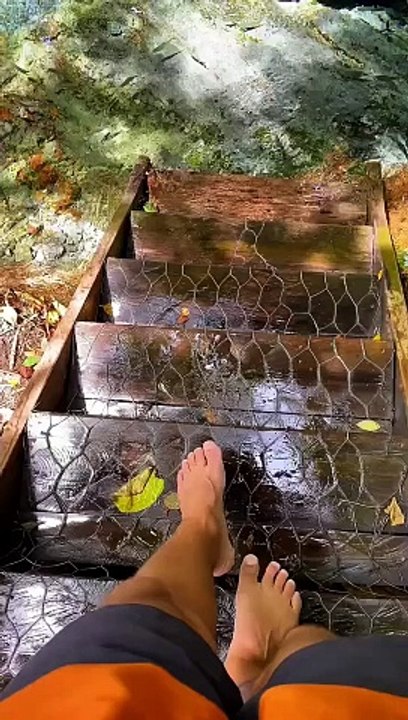FISHES,,,,,