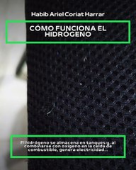 |HABIB ARIEL CORIAT HARRAR | VEHÍCULOS DE HIDRÓGENO: FUTURO SOSTENIBLE (PARTE 1) (@HABIBARIELC)