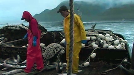 The Viking Maid Full Movie