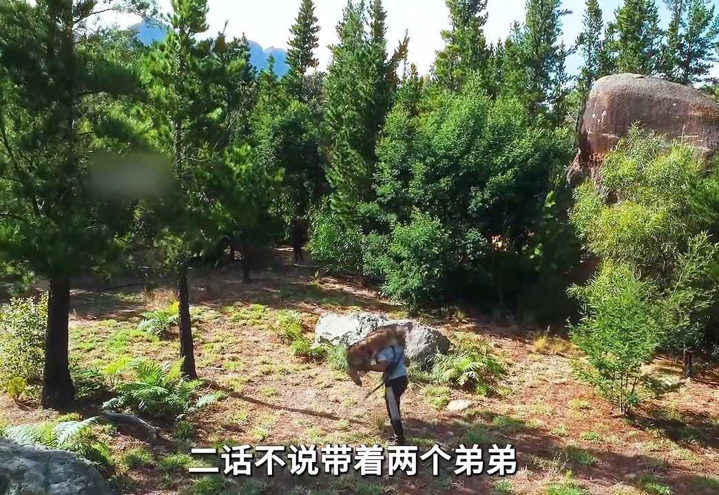 一口气看完一部特别好看的动作科幻德剧