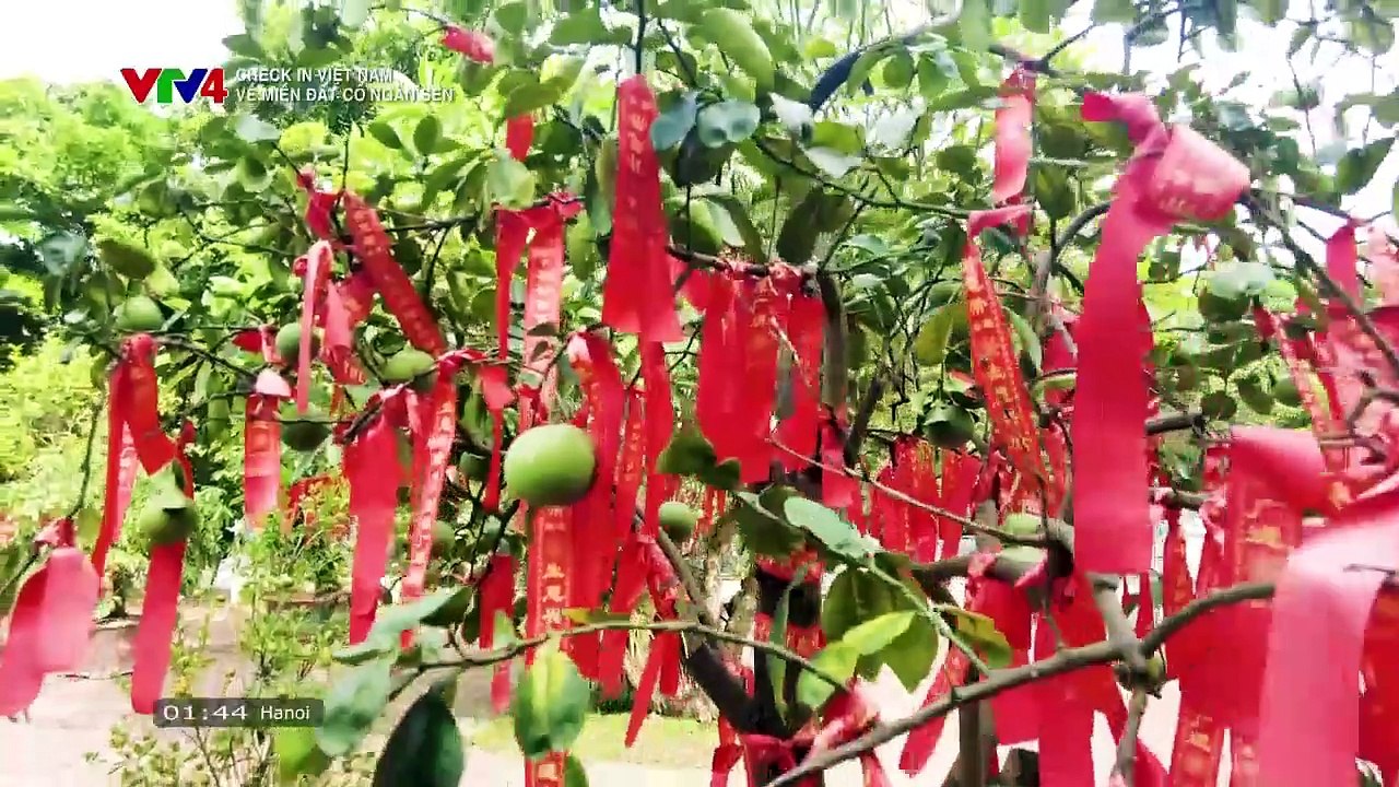 Lựa chọn cuối cùng - Tập 18