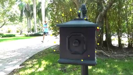 Diana is going to the Princess Ball