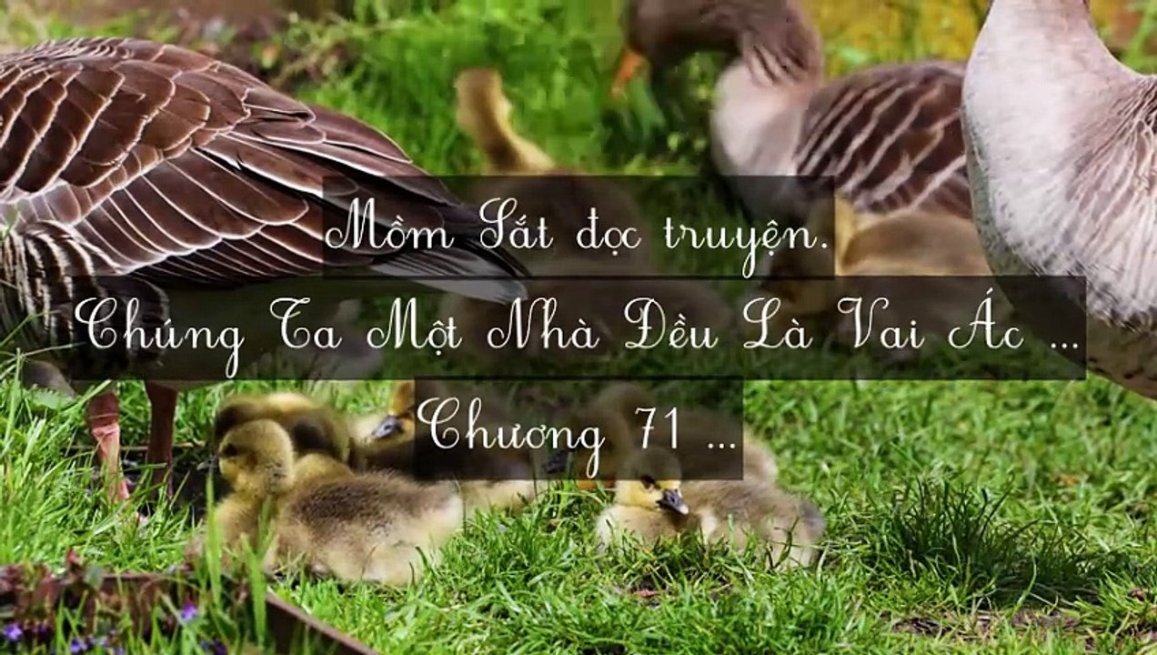 C67-C76 Chúng Ta Một Nhà Đều Là Vai Ác