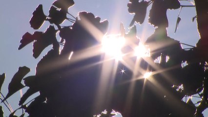 [날씨] 추석 앞두고 폭염, 서울 33℃...곳곳 소나기 / YTN