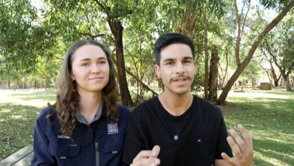 Mam-burrumurl parasitic ghost wasp found close to home by young photographers hunting for new species