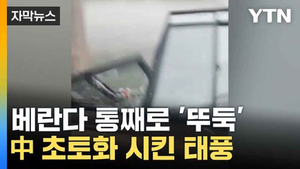 [자막뉴스] 근 10년 중 가장 강한 태풍 야기'...중국 초토화 / YTN