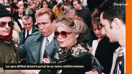 Brigitte Bardot jamais tranquille, son cocon tropézien envahi : "C'est un vrai supplice"