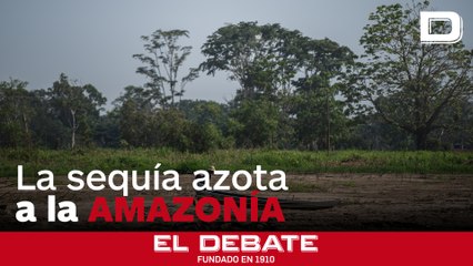 El drama de la sequía extrema que azota a la Amazonía brasileña