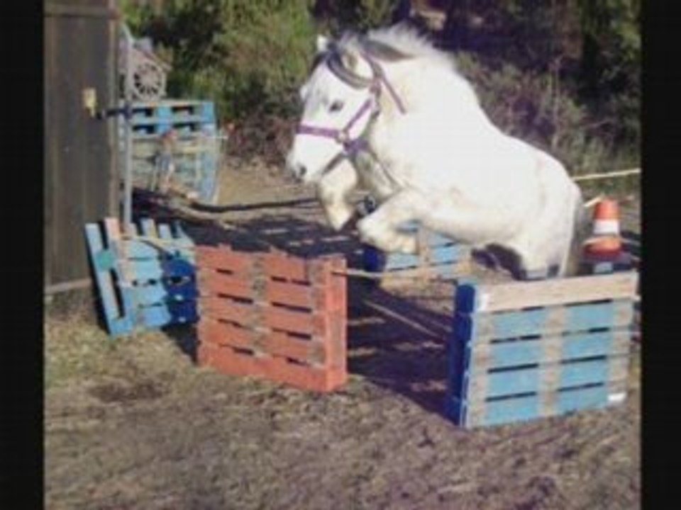 saut de dédé