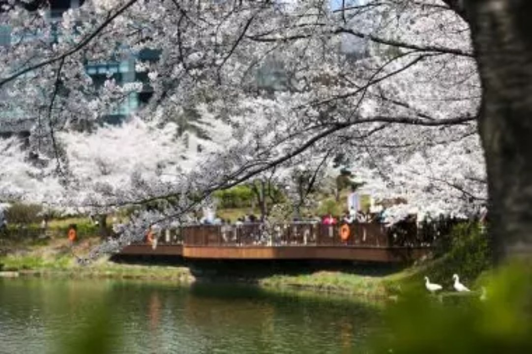 Seyahat tutkunlarının gözde rotası Güney Kore