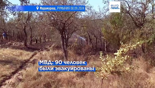 Румыния: масштабный пожар уничтожил сотни гектаров земли