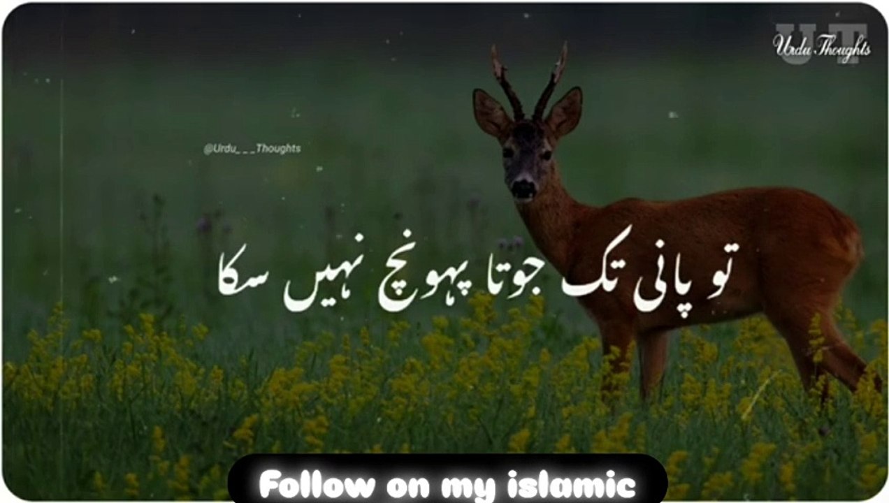 #islamic videos