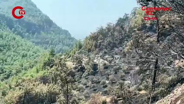 Muğla'daki orman yangını kontrol altında 200 hektar alan zarar gördü