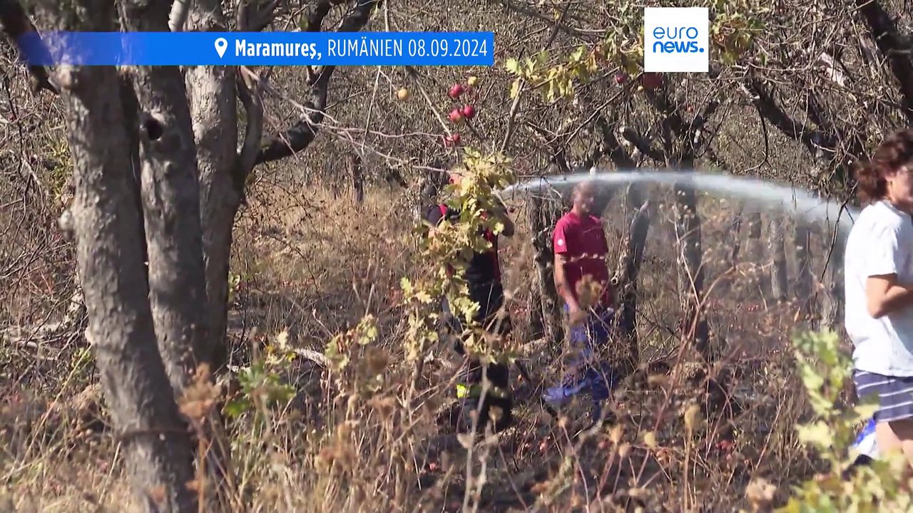 Ursache unbekannt: Großbrand in Nordrumänien zerstört Obstplantagen