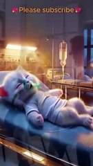 #Cat Story #Refreshing #Funny #Comedy #Entertainment