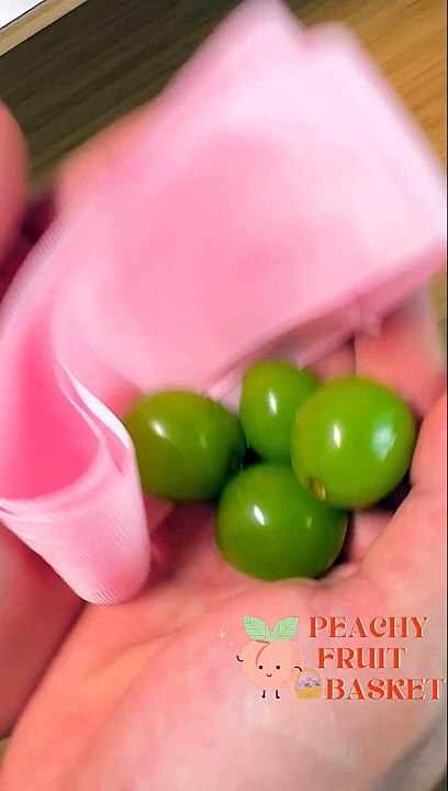 Comparing The Best Techniques For Finding Fruit Baskets In Malaysia - Peachy Fruit Basket Trading