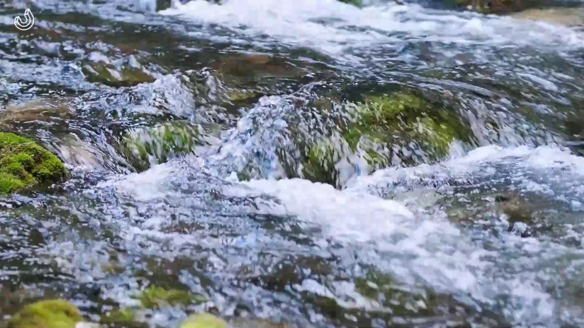 ⁣ASMR - Listening to the sounds of nature, the sound of running water and the sound of birds in the f