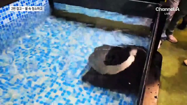 두 번 접는 ‘트리폴드 폰’ 공개…中 기술 굴기