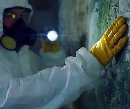 Mold Inspections Service: Safeguard Your Health and Property