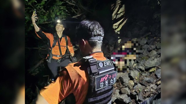 버섯 따던 60대 남성, 30m 아래 추락해 숨져 / YTN