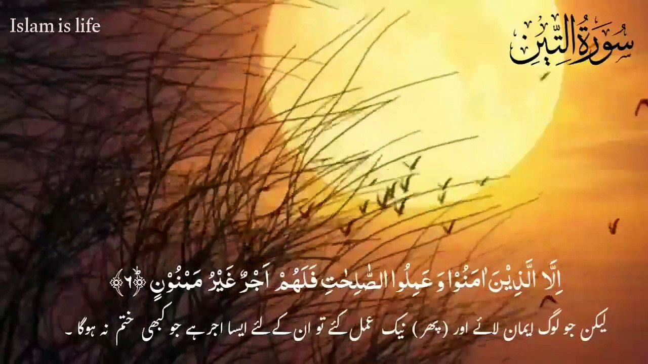 Surah At-Teen full (5 times) | Beautiful recitation | سورة التین