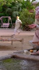 PUNJABI COMEDY SCENE 