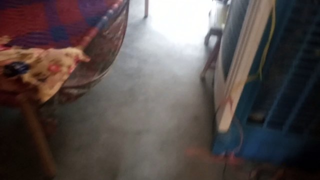 pakistani funny moments caught on camera | random and funny videos on internet