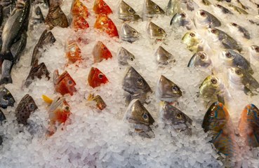 Eating fish during pregnancy cuts child autism risk