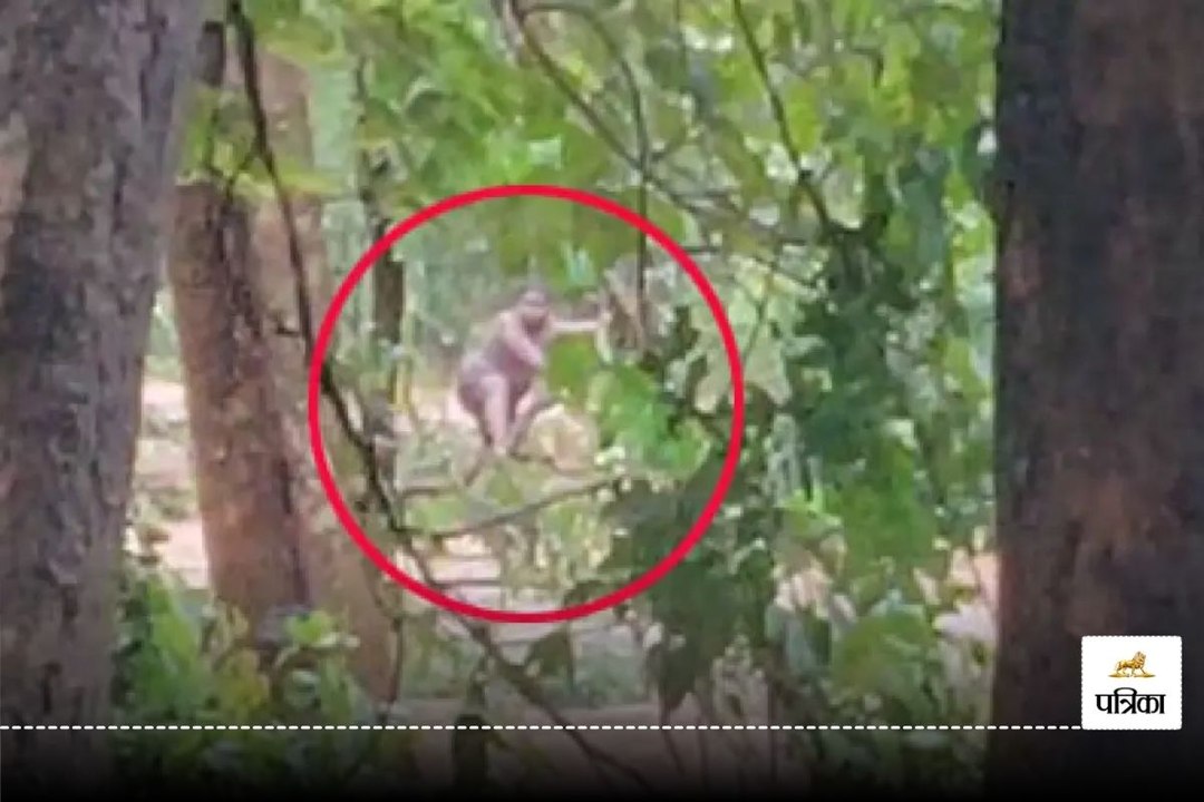 Kanker News: नदी के तेज बहाव में बही भाजपा नेता...