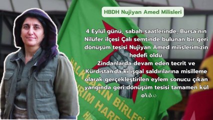 HBDH Nujiyan Amed Milisleri