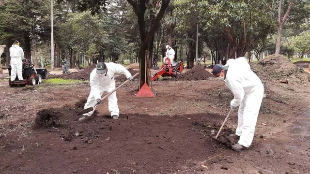 ¿Cuánto se demorará la Alcaldía de Bogotá en recuperar el Parque Nacional tras el retorno de la comunidad emberá?