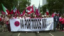 WATCH: Mexicans march against controversial election bill