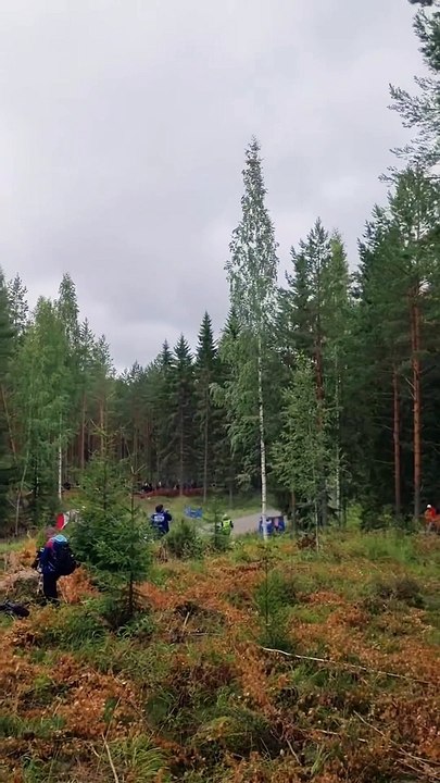 ¡VUELA VUELA! Sabemos que el Rally de Finlandia tiene unos saltos increíbles… ¡Al punto de hacernos dudar si son autos o aviones!