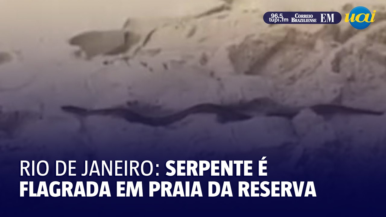 Serpente é flagrada na areia da praia da Reserva, na Barra da Tijuca