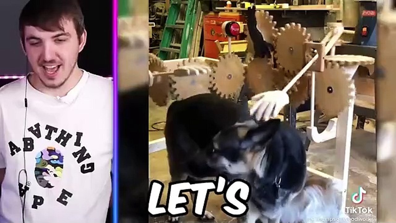 Mr.Beast , Extreme Try Not to laugh challenge.