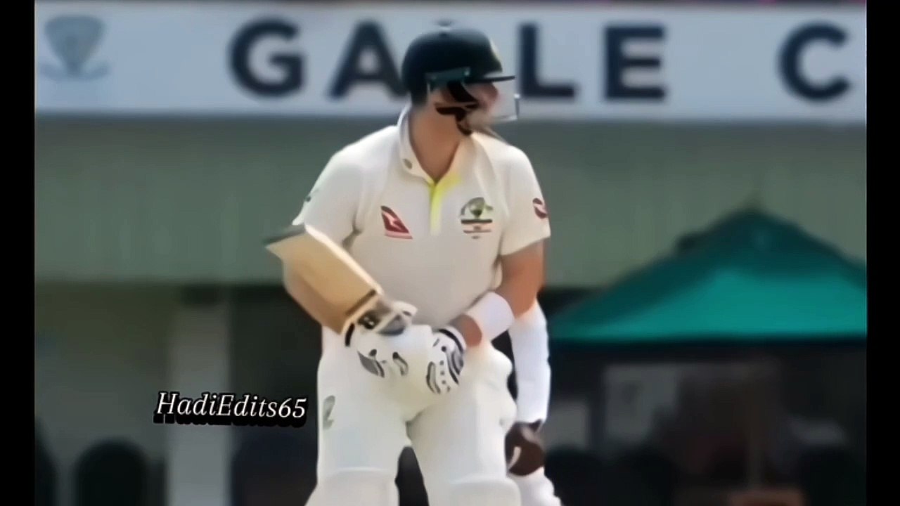 Steve Smith Angry Mood After Run Out