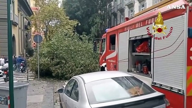 Cade grosso albero, tragedia sfiorata a Napoli