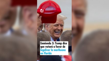 Enmienda 3: Trump dice que votará a favor de legalizar la marihuana en Florida