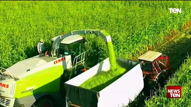 بزيادة الرقعة الزراعية وتطوير نظام الري.. الدولة تتخذ خطوات جادة نحو تحقيق الأمن الغذائي