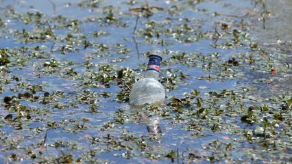 River Avon ranked as one of the worst for sewage spills